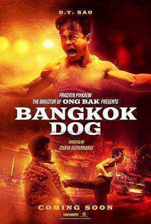 فيلم Bangkok Dog 2024 مترجم اون لاين